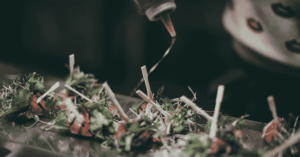 The Secret Sauce Behind Every Smooth Summer Event 1 Event Management Software