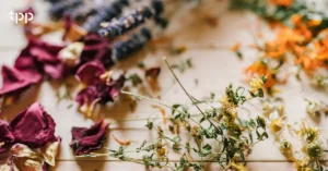 Elevate Your Spring Menus with TPP Catering Software